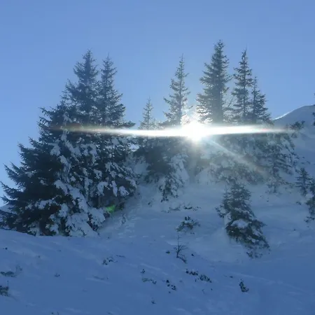 Spath Lejlighed Kaprun